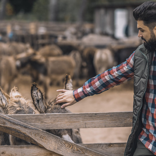 Vegane Bekleidung - Mode ohne Leid